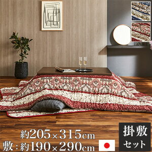 yő1~N[|11/4-10z zc Zbg CPqR ` 205×315cm xzc |zc ~zc x|zc pzc | 唻 ӂӂ { VIORSET315