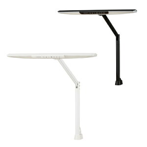 X^h LED Nv 520×687mm fXNCg e[uCg ドCg Ɩ  fXN Cg ݑΖ ׋  ؖڒ ECL-11