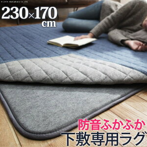 yő1~N[|9/19-23z O ~  hӂӂ~pO kӂs^l 230x170cm (3p) ` O ӂ J[ybg O}bg 􂦂 g[ zbgJ[ybgΉ 