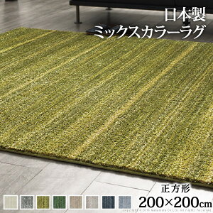 【P5倍10/25 13-15時&最大1万円クーポン10/24-27】 ラグ 洗える 防ダニ ミックスカラーラグ 〔ルーナ〕 200x200cm 正方形 2畳 二畳 防音 防炎 カーペット ラグマット ウォッシャブル 床暖房 ホットカー