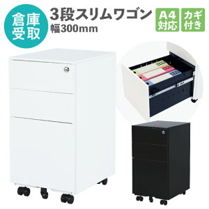 yP5{11/15 13-15&ő1~N[|11/14-16z yqɎz XS 3i fXNS TChS LX^[t t ItBXS I[bN e X`[S A4 ESW-