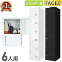ロッカー 6人用 スリム 1列6段 シリンダー錠 鍵付き 下駄箱 シューズボックス シューズロッカー オフィス ホワイト ブラック おしゃれ 学校 業務用 FAC-S6-2
