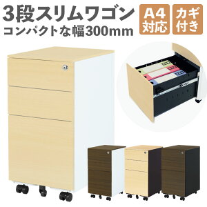 fXNS 3i V_[ X ؖ TChS e TChLrlbg X`[S XS S fXN  ItBX A4 ESW-S3-C Lbg ItBXƋ Ce