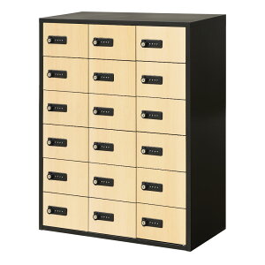 ���b�J�[ �M�d�i ���[ �{�b�N�X �_�C������ 18�l�p �ؖ� ���� �L���r�l�b�g �M�d�i���b�J�[ �M�d�i���� �z�e�� �Z�L�����e�B �� �A�� �X�� �I�t�B�X NSAFE-36-2C ���L�b�g �I�t�B�X�Ƌ� �C���e��