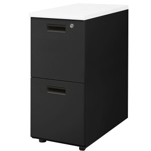 �y�ő�1���~�N�[�|��3/4-10�z �y�q�Ɏ�����z �e�� 2�i �{�̃u���b�N ���n �X���� ��300×���s600mm ���� �f�X�N���S�� ��30cm �T�C�h���S�� �T�C�h�f�X�N ���t�� ������� A4 LD-WD2SB-SO