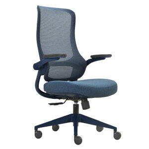 yő1~N[|11/20-26z ItBX`FA It fXN`FA p\R`FA ֎q [N`FA PC`FA ֎q `FA z  Ȃ k ݑ ARD-1