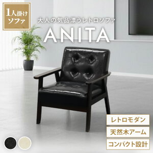 \t@ 1l|  ~bhZ`[ _ AeB[N U[ k Be[W \t@[  ֎q JtF Aj[^ ANITA-1-2 Lbg ItBXƋ CeA