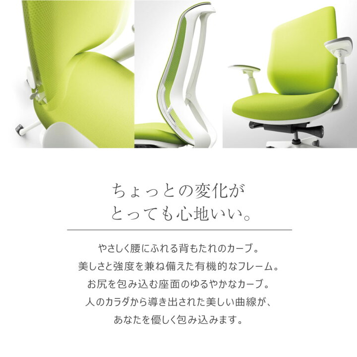 楽天市場】【ﾋﾞｼﾞﾈｽ割10％OFF＆1200円OFFｸｰﾎﾟﾝ3/28-4/28】シルフィー 