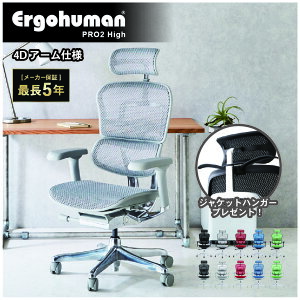 �yP5�{9/25 13-15��&�ő�1���~�N�[�|��9/25�z �G���S�q���[�}�� �v��2 �n�C�^�C�v 4D�A�[�����X�g Ergohuman Pro2 High ���K�i �Œ�5�N�ۏ� �I�t�B�X�`�F�A ���@�\�`�F�A �w�b�h���X�g ���ɑ΍� EHP2-HAM-DR