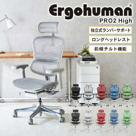 【最大1万円クーポン6/1~7】 エルゴヒューマンプロ2 Ergohuman Pro2 ハイタイプ オフィスチェア ヘッドレスト 高機能チェア メッシュチェア パソコンチェア PCチェア 椅子 肘付き EHP2-HAM