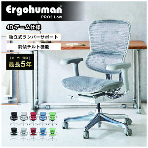 �G���S�q���[�}�� �v��2 ���[�^�C�v 4D�A�[�����X�g Ergohuman Pro2 Low ���K�i �Œ�5�N�ۏ� �I�t�B�X�`�F�A ���b�V���`�F�A ���@�\�`�F�A ���ɑ΍� EHP2-LAM-DR