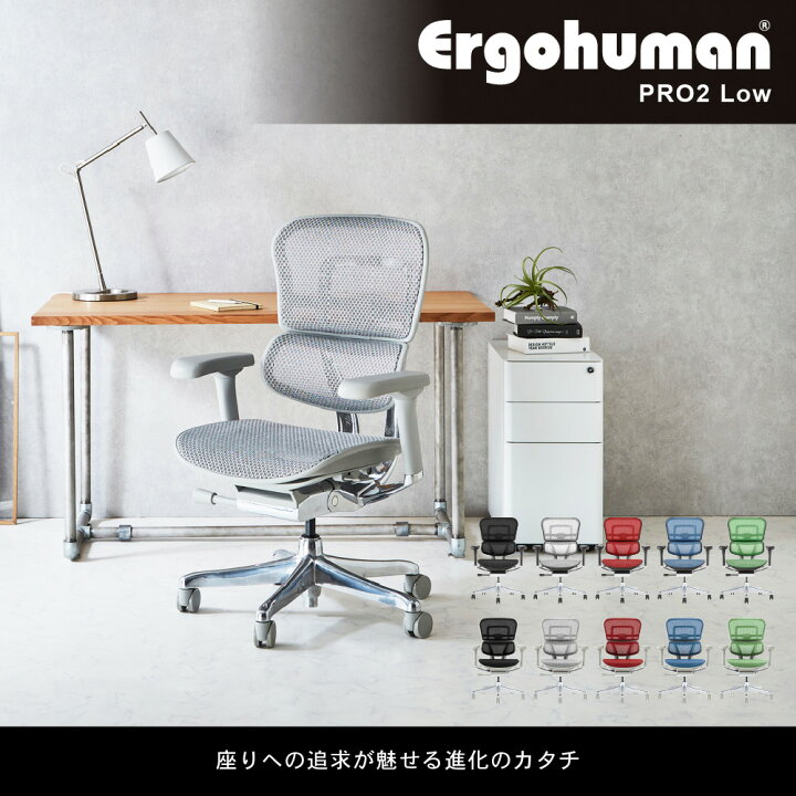 楽天市場】エルゴヒューマンプロ2 ロータイプ Ergohuman Pro2 Low 新 