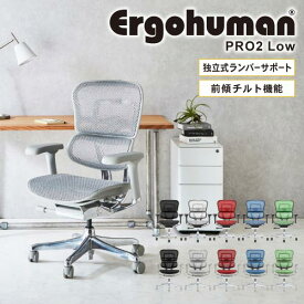 エルゴヒューマンプロ2 Ergohuman Pro2 ロータイプ オフィスチェア 高機能チェア メッシュチェア PCチェア ゲーミング 椅子 肘掛け 肘付 おしゃれ 黒 EHP2-LAM