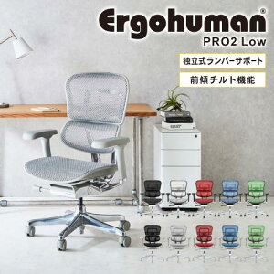�G���S�q���[�}���v��2 Ergohuman Pro2 ���[�^�C�v �I�t�B�X�`�F�A ���@�\�`�F�A ���b�V���`�F�A PC�`�F�A �Q�[�~���O �֎q �I�|�� �I�t EHP2-LAM-DR