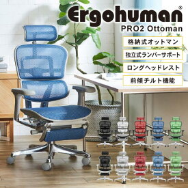 エルゴヒューマンプロ2 オットマン Ergohuman Pro2 ottoman ヘッドレスト 高機能チェア メッシュチェア パソコンチェア 肘付 エグゼクティブ おしゃれ EHP2-LPL