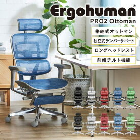 【最大1万円クーポン4/24~27】 エルゴヒューマンプロ2 オットマン Ergohuman Pro2 ottoman ヘッドレスト 高機能チェア メッシュチェア パソコンチェア 肘付 エグゼクティブ おしゃれ EHP2-LPL