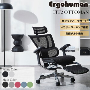 �G���S�q���[�}�� �t�B�b�g2 �I�b�g�}�� Ergohuman FIT2 Ottoman �V��Վd�l ���K�i �Œ�5�N�ۏ� ���@�\�`�F�A �f�X�N�`�F�A �w�b�h���X�g ���ɑ΍� FIT2-LPL-DR