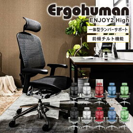 エンジョイ Enjoy エルゴヒューマン Ergohuman オフィスチェア ヘッドレスト メッシュチェア パソコンチェア チェア EJ2-HAM
