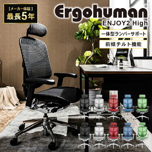 �G���W���C2 Enjoy2 �G���S�q���[�}�� Ergohuman �I�t�B�X�`�F�A �w�b�h���X�g ���b�V���`�F�A �p�\�R���`�F�A �`�F�A EJ2-HAM LOOKIT �I�t�B�X�Ƌ� �C���e���A