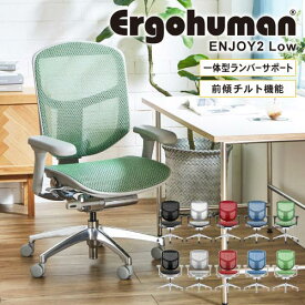 【最大1万円クーポン4/20】 エンジョイ Enjoy エルゴヒューマン Ergohuman オフィスチェア ヘッドレストなし 椅子 メッシュチェア パソコンチェア EJ2-LAM