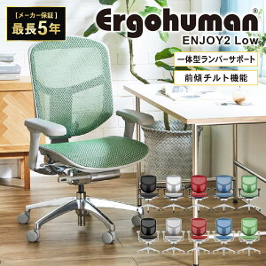 �G���S�q���[�}���G���W���C2 ���[�^�C�v Ergohuman Enjoy2 Low ���K�i �Œ�5�N�ۏ� �I�t�B�X�`�F�A���@�\�`�F�A ���ɑ΍� ���b�V���`�F�A ���ɂ��� EJ2-LAM ���L�b�g �I�t�B�X�Ƌ� �C���e���A
