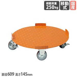 yP3{11/1 13-15&ő1~N[|11/1z ~`h TJG tbg^Cv a609×145mm ϓύډ׏d250kg a100mmiCE^ IW X`[ 200Lp ^ { DR-5