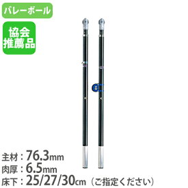 【法人限定】 バレー支柱 2本1組 専用ネット巻付 日本バレーボール協会推薦品 ネット支柱 バレーボール用品 バレー支柱カーボン トーエイライト B2938 B-2938