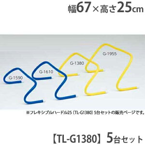 yő1~N[|11/20-26z y@lzn[h 25cm g[jOn[h \h ̈ ^pi sP nrpi tLVun[h25 g[GCCg G1380 G-1380