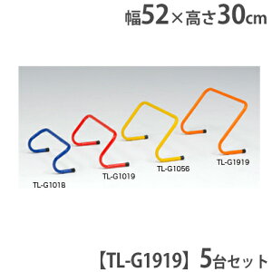 yő1~N[|11/20-26z y@lzn[h 30cm bg[jOp g[jOpi X|[cpi   g[jOn[h30 g[GCCg G1919 G-1919