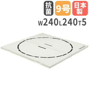 yP3{11/1 13-15&ő1~N[|11/1z y@lzyU o}bg A 240×240×5cm Rۂ}bg240 ̈}bg o g[GCCg ̈ wZ T2532 T-2532