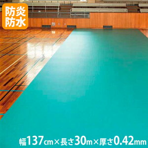 �ySS����P5�{6/5 13-15��&�ő�1���~�N�[�|��6/4-10�z �y�@�l����z�̈�� �t���A�V�[�g ��137cm×����30m×����0.42mm �t���A�V�[�g42-30M �̈�}�b�g �{���V�[�g �g�[�G�C���C�g �u���[�V�[�g �Ɩ��p T25