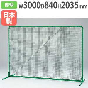 yő1~N[|11/4-10z y@lzhtFX2×3DX VO^Cv 3000×2035mm 싅tFX hlbg S΍ 싅Kpi ^ X|[c g[GCCg B2947