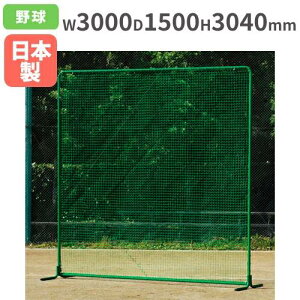 yő1~N[|11/4-10z y@lzhtFX3×3DXVO 3040×3000mm 싅ptFX hlbg S΍ 싅Kpi ^ X|[c g[GCCg B4141