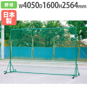 yP3{11/1 13-15&ő1~N[|11/1z y@lzhtFX2.5×4DX-CVO 2564×4050mm LX^[t tFX hlbg S΍ 싅Kpi g[GCCg B2511 B-2511