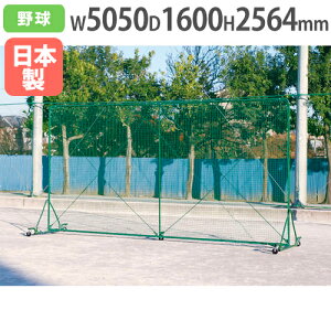 yP3{11/1 13-15&ő1~N[|11/1z y@lzhtFX2.5×5DX-CVO 2564×5050mm LX^[r 싅ptFX hlbg S΍ ^ g[GCCg B2512 B-2512