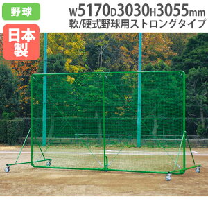 y@lzhtFX3×5SGVO 3055×5170mm LX^[r ^tFX dΉ^Cv hlbg S΍ g[GCCg B3289 B-3289