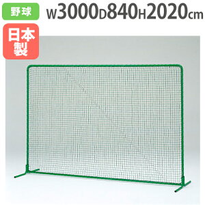 yő1~N[|11/4-10z y@lzhtFX2×3ST 202×300cm 싅pi 싅ptFX hlbg S΍ 싅Kpi ^ X|[c g[GCCg B2944