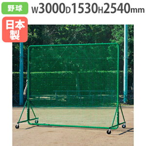 yő1~N[|11/4-10z y@lzhtFX2.5×3SGVO 2540×3000mm LX^[r dΉ tFX hlbg S΍ g[GCCg B3981 B-3981