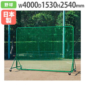y@lzhtFX2.5×3.5SG VO 2540×4000mm LX^[r dΉ tFX hlbg S΍ 싅Kpi g[GCCg B2951