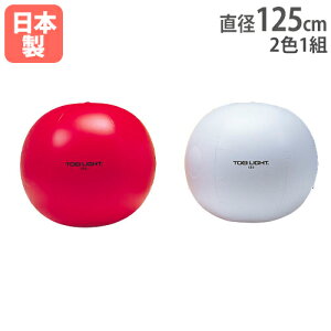 ySSP5{12/5 13-15&ő1~N[|12/4-10z g 2F1g a125cm  ^{[ ^ ̈ NG[V ʓ] ̈pi Cxg wZ ^{ i g[GCC