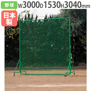 yő1~N[|11/4-10z y@lzhtFX3×3SGVO 304×300cm LX^[r tFX hlbg S΍ 싅Kpi ^ g[GCCg B5135 B-5135