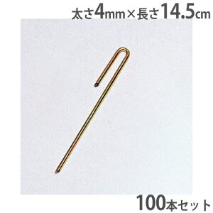 Oh[vY 100{Zbg 4mm×14.5cm Y Œ OEh OEh݉c R[g ^ ̈ wZ g[GCCg B5947 B-5947