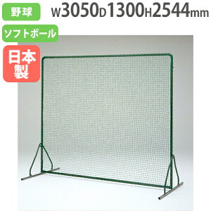 yő1~N[|11/4-10z y@lzhtFX2.5×3DXVO 2544×3050mm XeX 싅ptFX hlbg S΍ ^ X|[c g[GCCg B2978