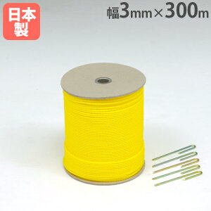 yP5{11/15 13-15&ő1~N[|11/14-16z Oh[v 3mm×300m Yt [v  d؂ ڈ OEh݉c ^ ̈ OEh R[g wZ  g[GCCg G1169 G