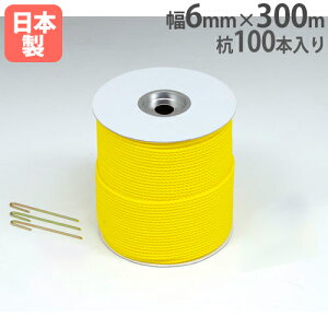 yP5{11/15 13-15&ő1~N[|11/14-16z Oh[v 6mm×300m Yt [v  d؂ ڈ OEh݉c ^ ̈ OEh R[g wZ  g[GCCg G1577 G