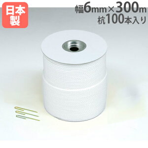 yP5{11/15 13-15&ő1~N[|11/14-16z Oh[v 6mm×300m Yt [v  d؂ ڈ OEh݉c ^ ̈ OEh R[g wZ  g[GCCg G1581 G