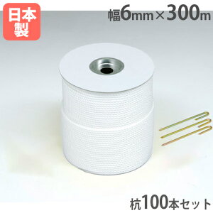 yP5{11/15 13-15&ő1~N[|11/14-16z Oh[v 6mm×300m Yt [v  d؂ ڈ OEh݉c ^ ̈ OEh R[g wZ  g[GCCg G1624 G