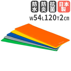 【P5倍5/30 13-15時&最大1万円クーポン5/30】 【法人限定】エクササイズマット120 幅54×長さ120×厚さ2cm 体操マット ヨガマット フィットネスクラブ トーエイライト H7469 H-7469