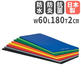 【最大1万円クーポン2/4-9】 【法人限定】 エクササイズマット 幅60×長さ180×厚さ2cm 体操マット ヨガマット ストレッチマット フィットネスクラブ 体操教室 トーエイライト H7471 H-7471
