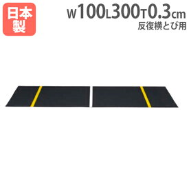 【P5倍4/25 13-15時&最大1万円クーポン4/24~27】 【法人限定】反復横跳び用マット 体育用品 体力測定 測定用 トレーニング スポーツ施設 教育施設 運動施設 体育 運動 備品 トーエイライト T1816 T-1816